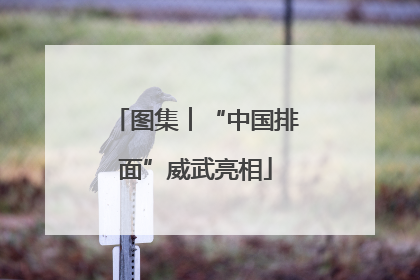 图集︱“中国排面”威武亮相