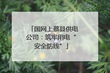国网上蔡县供电公司：筑牢用电“安全防线”