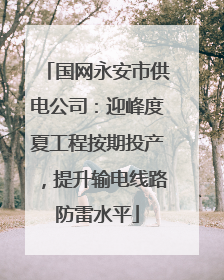 国网永安市供电公司：迎峰度夏工程按期投产，提升输电线路防雷水平