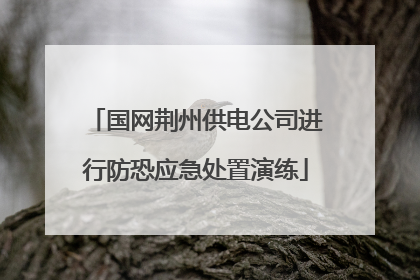 国网荆州供电公司进行防恐应急处置演练