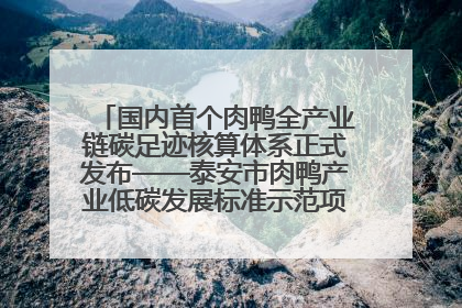 国内首个肉鸭全产业链碳足迹核算体系正式发布——泰安市肉鸭产业低碳发展标准示范项目顺利通过验收