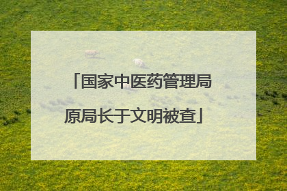 国家中医药管理局原局长于文明被查