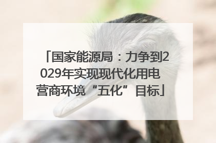 国家能源局：力争到2029年实现现代化用电营商环境“五化”目标