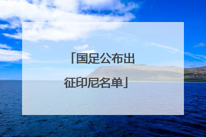 国足公布出征印尼名单
