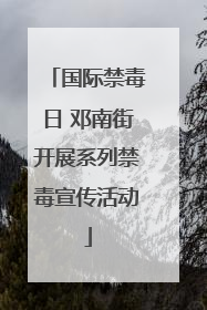 国际禁毒日 邓南街开展系列禁毒宣传活动