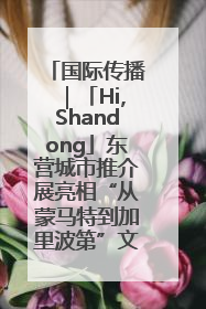 国际传播｜「Hi,Shandong」东营城市推介展亮相“从蒙马特到加里波第”文化节