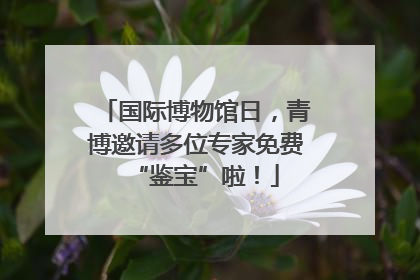 国际博物馆日，青博邀请多位专家免费“鉴宝”啦！