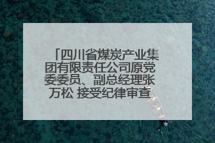 四川省煤炭产业集团有限责任公司原党委委员、副总经理张万松 接受纪律审查和监察调查
