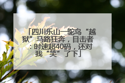四川乐山一鸵鸟“越狱”马路狂奔，目击者：时速超40码，还对我“笑”了下