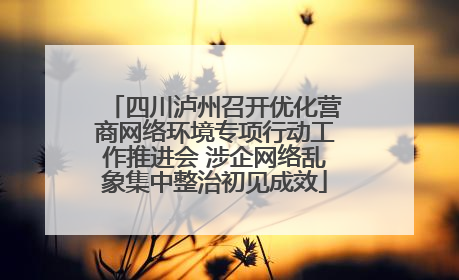 四川泸州召开优化营商网络环境专项行动工作推进会 涉企网络乱象集中整治初见成效