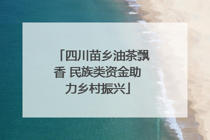 四川苗乡油茶飘香 民族类资金助力乡村振兴