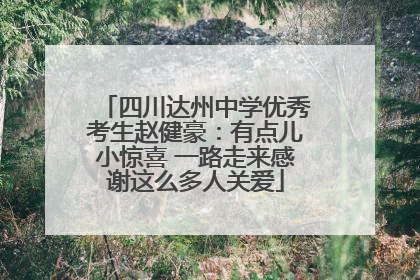 四川达州中学优秀考生赵健豪：有点儿小惊喜 一路走来感谢这么多人关爱