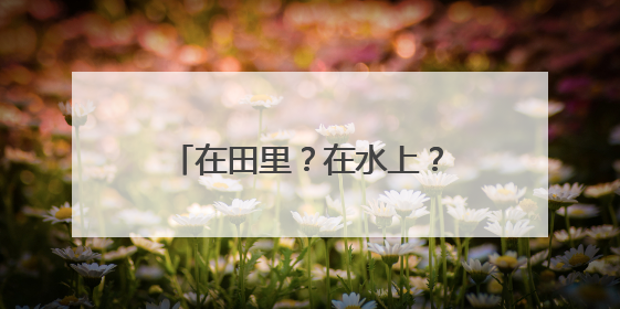 在田里？在水上？瑜伽还能这样练