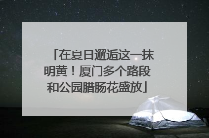 在夏日邂逅这一抹明黄！厦门多个路段和公园腊肠花盛放