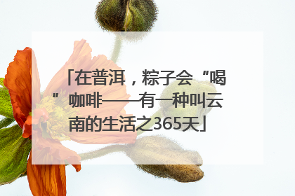 在普洱，粽子会“喝”咖啡——有一种叫云南的生活之365天