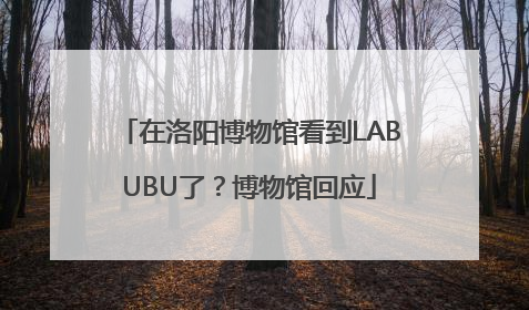在洛阳博物馆看到LABUBU了？博物馆回应