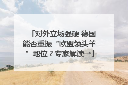 对外立场强硬 德国能否重振“欧盟领头羊”地位？专家解读→