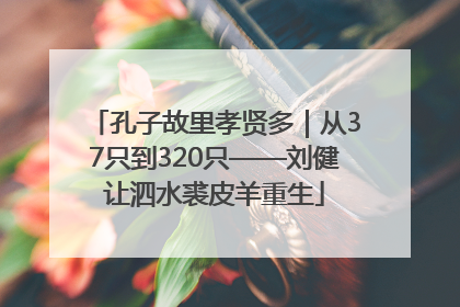 孔子故里孝贤多｜从37只到320只——刘健让泗水裘皮羊重生
