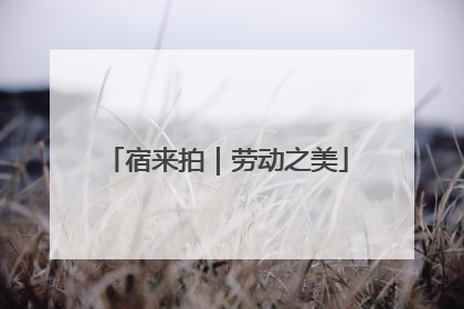 宿来拍｜劳动之美