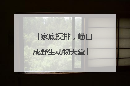 家底摸排，崂山成野生动物天堂