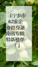 宁乡市62家企业跻身湖南省专精特新榜单！
