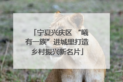 宁夏兴庆区 “曦有一族”进城里打造乡村振兴新名片