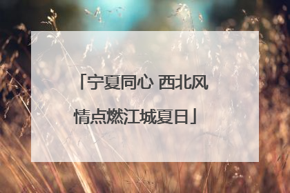 宁夏同心 西北风情点燃江城夏日