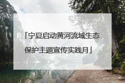 宁夏启动黄河流域生态保护主题宣传实践月