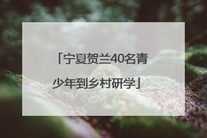 宁夏贺兰40名青少年到乡村研学