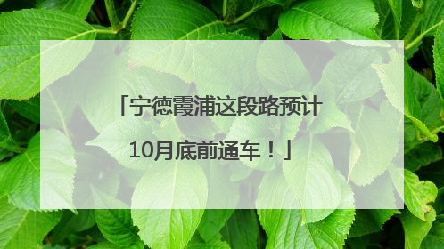 宁德霞浦这段路预计10月底前通车！