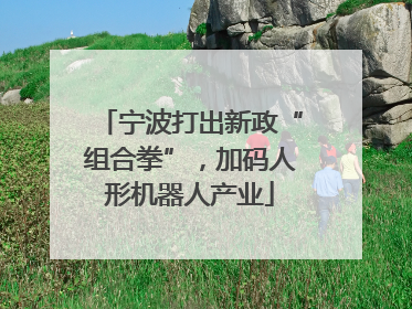 宁波打出新政“组合拳”，加码人形机器人产业