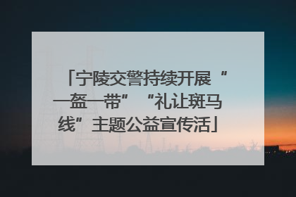 宁陵交警持续开展“一盔一带”“礼让斑马线”主题公益宣传活