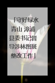 守好绿水青山 漳浦县委书记督导涉林图斑整改工作