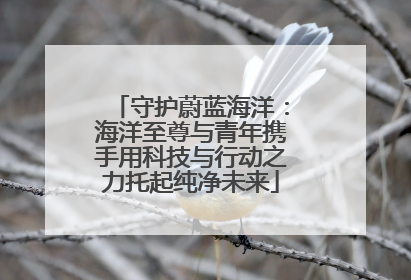 守护蔚蓝海洋：海洋至尊与青年携手用科技与行动之力托起纯净未来