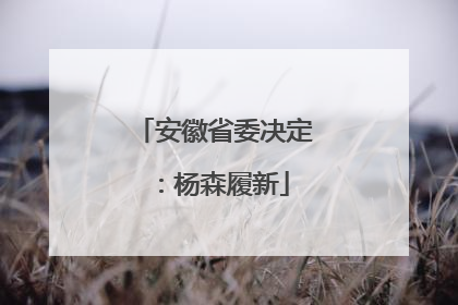 安徽省委决定：杨森履新