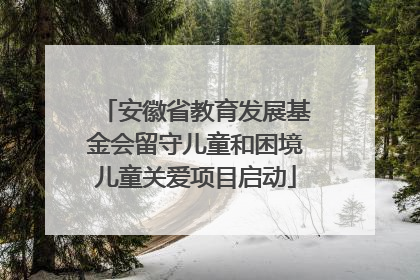 安徽省教育发展基金会留守儿童和困境儿童关爱项目启动