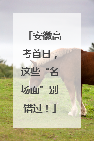 安徽高考首日，这些“名场面”别错过！
