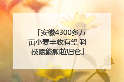 安徽4300多万亩小麦丰收有望 科技赋能颗粒归仓