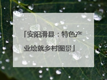 安阳滑县：特色产业绘就乡村图景