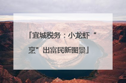 宜城税务：小龙虾“烹”出富民新图景
