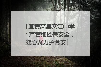 宜宾高县文江中学：严管细控保安全，凝心聚力护食安