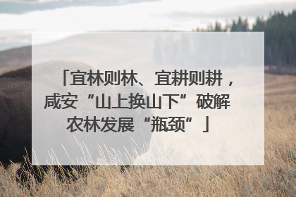 宜林则林、宜耕则耕，咸安“山上换山下”破解农林发展“瓶颈”