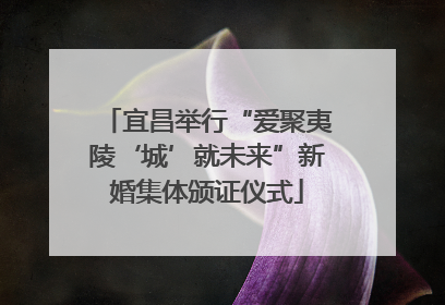 宜昌举行“爱聚夷陵‘城’就未来”新婚集体颁证仪式