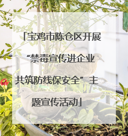 宝鸡市陈仓区开展“禁毒宣传进企业 共筑防线保安全”主题宣传活动