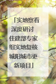 实地察看深度研讨 住建部专家组实地复核城阳城市更新项目