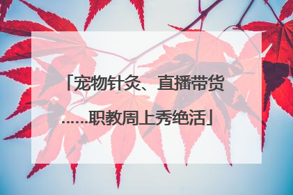 宠物针灸、直播带货……职教周上秀绝活