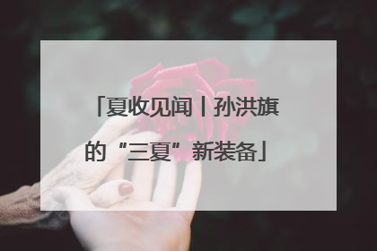 夏收见闻丨孙洪旗的“三夏”新装备