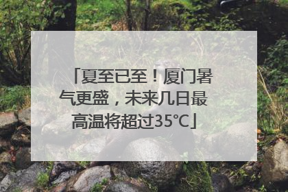 夏至已至！厦门暑气更盛，未来几日最高温将超过35℃