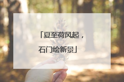 夏至荷风起，石门绘新景