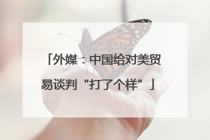外媒：中国给对美贸易谈判“打了个样”